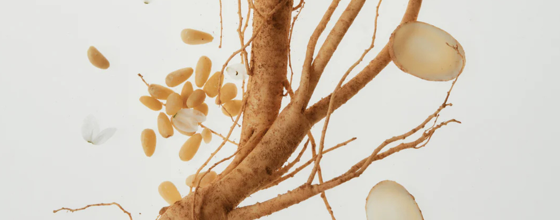 The Power of Ginseng: A Korean Beauty Staple