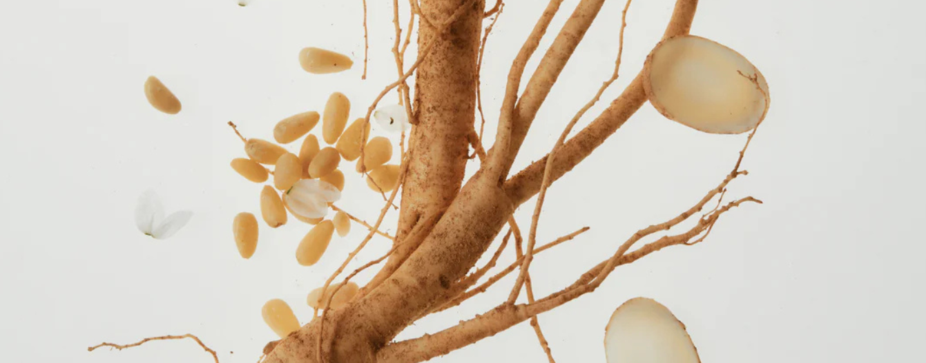 The Power of Ginseng: A Korean Beauty Staple