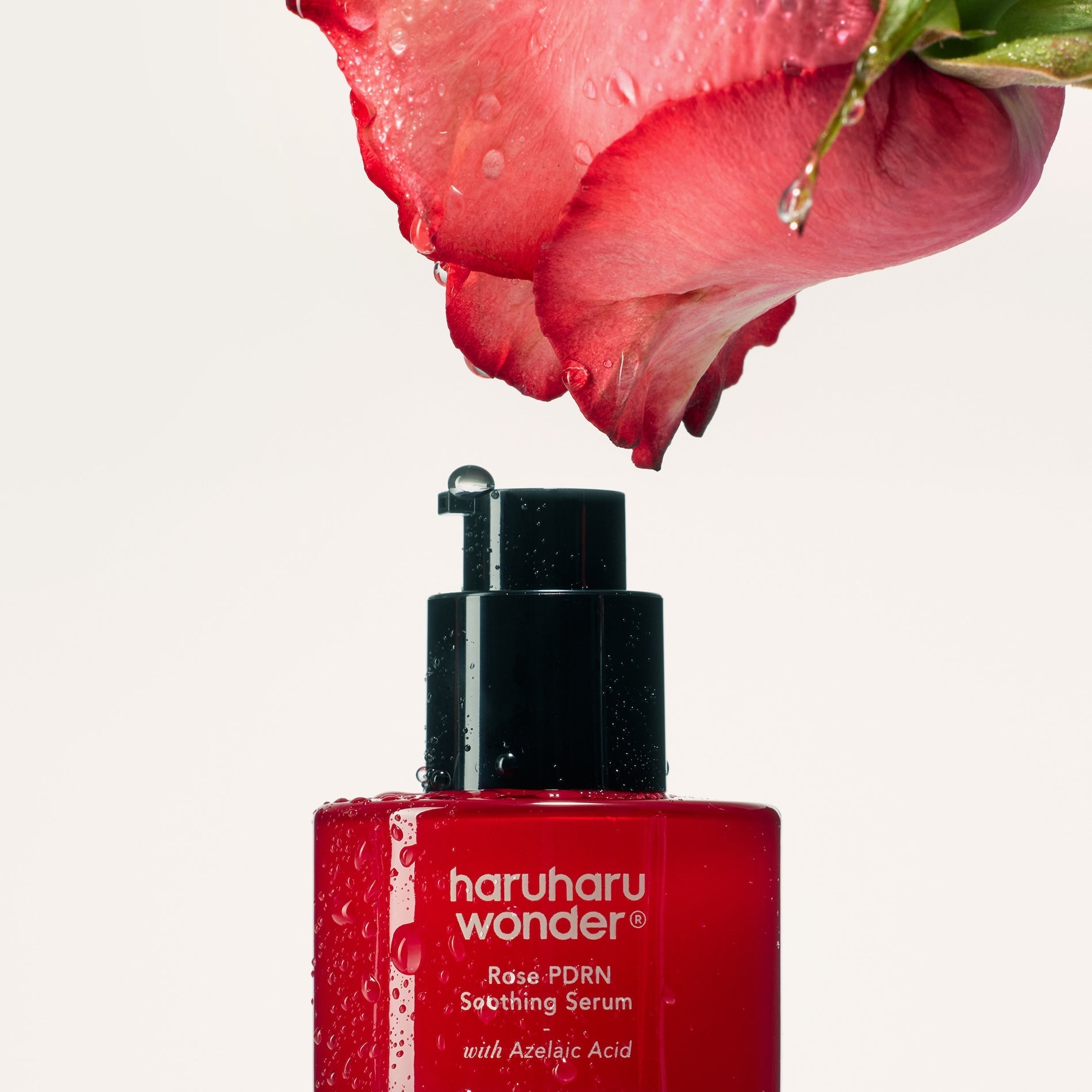 Haruharu Wonder Korean skincare collection — black rice and sun care