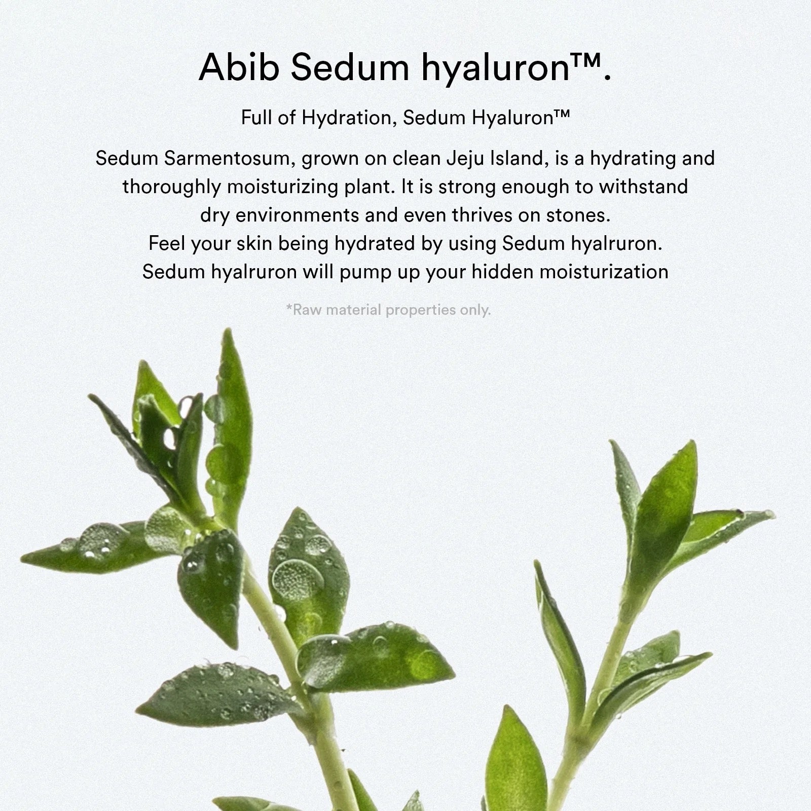 Abib Sedum hyaluron pad Hydrating touch 165ml