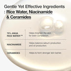 Dark Spot Correcting Set