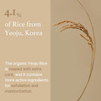 I'm From Rice Mask