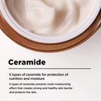 Manyo Bifida Biome Concentrate Cream, product size and packaging detail
