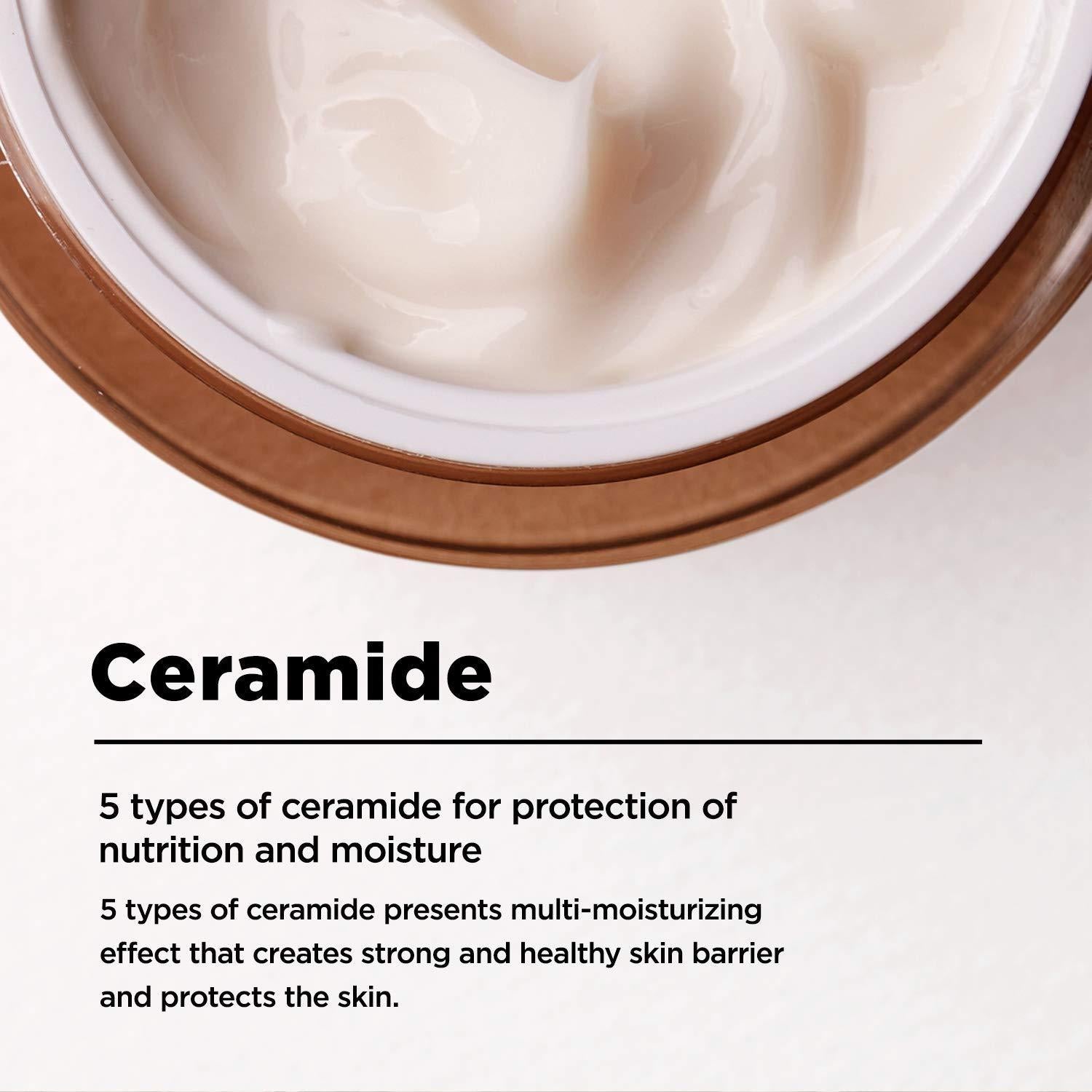 Manyo Bifida Biome Concentrate Cream, product size and packaging detail