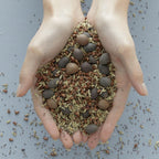 Blithe Vital Treatment 9 Essential Seeds essence, formula for targeted skin concerns