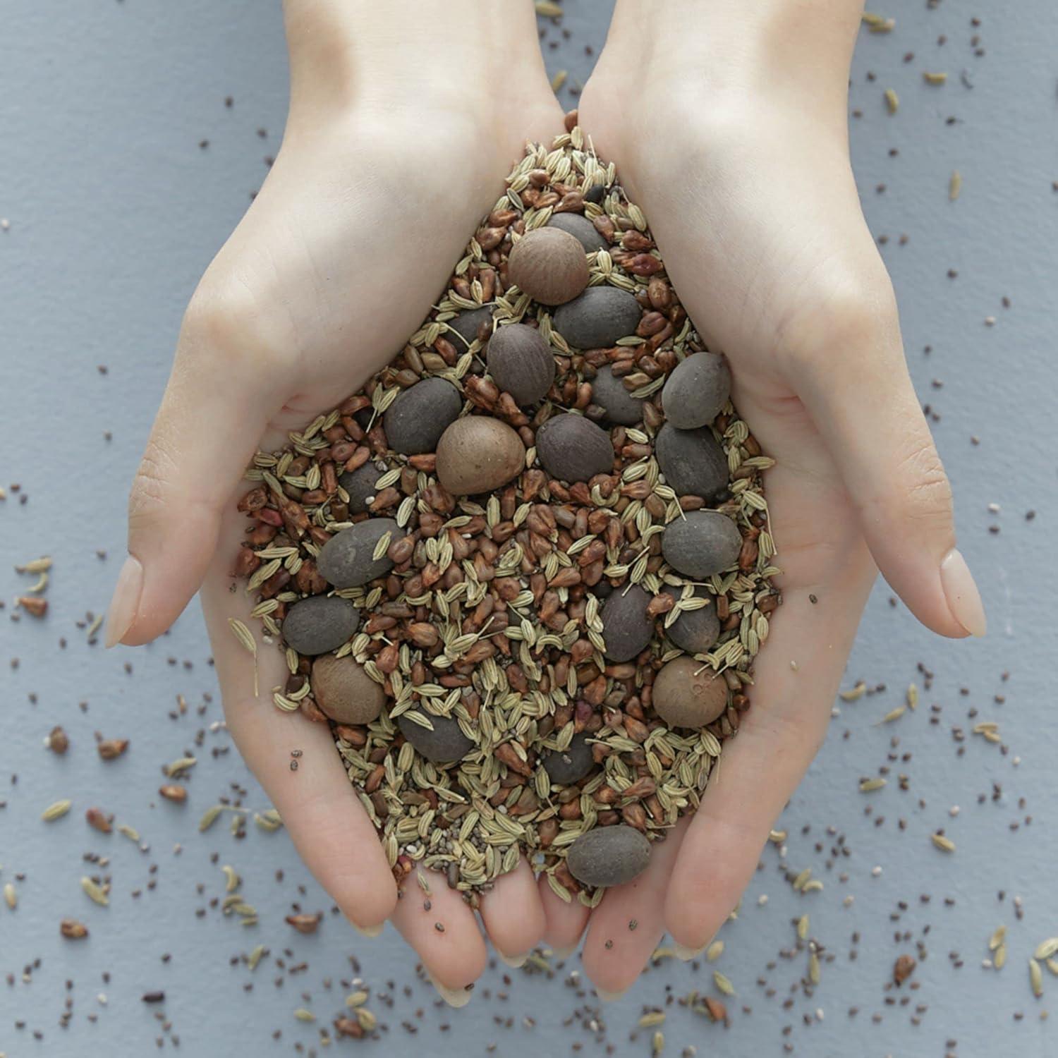 Blithe Vital Treatment 9 Essential Seeds essence, formula for targeted skin concerns