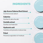 Innisfree No-Sebum Mineral Powder