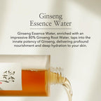 Beauty of Joseon Ginseng Essence Water - lifestyle shot