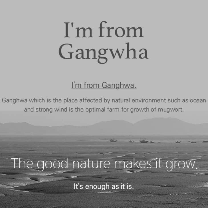 I'm From Mugwort Mask