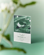 THE LAB by BLANC DOUX Green Flavonoid 2.0 Mask x 10
