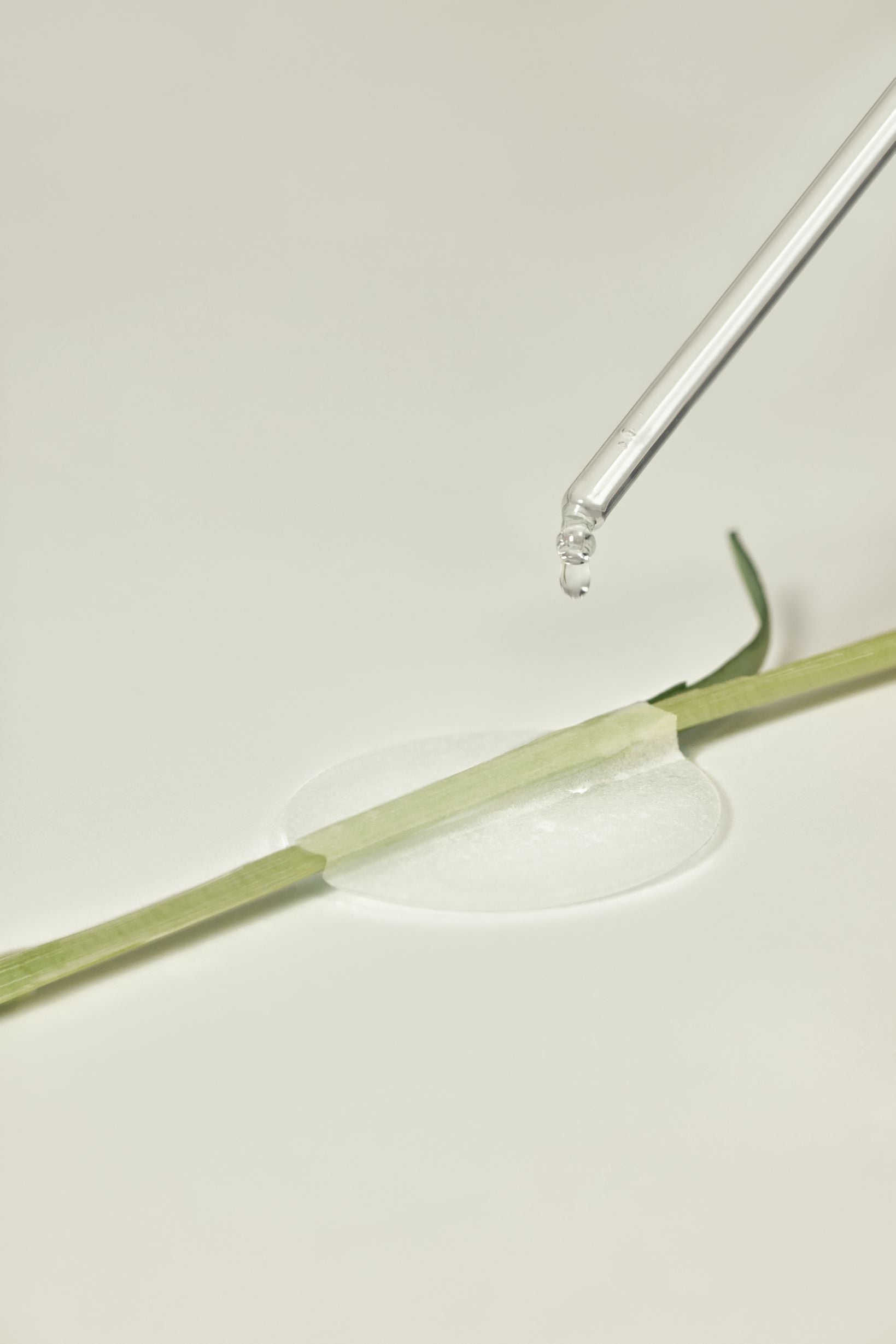 THE LAB by BLANC DOUX Green Flavonoid 2.5 Pad