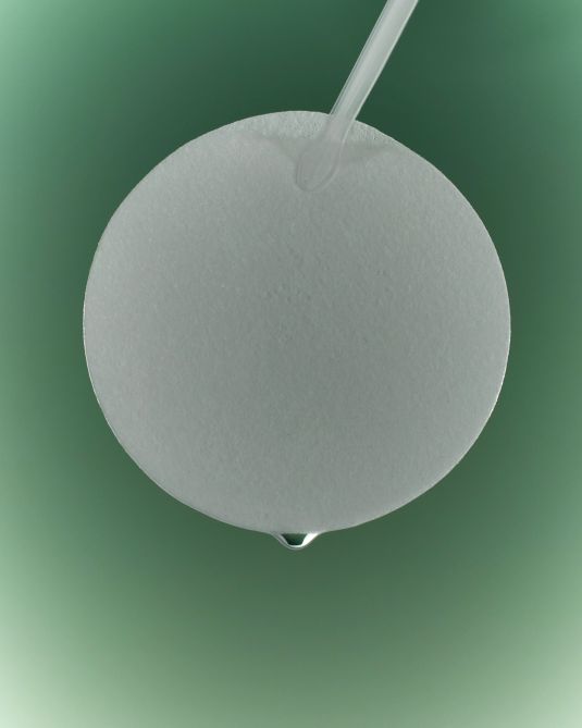 THE LAB by BLANC DOUX Green Flavonoid 2.5 Pad