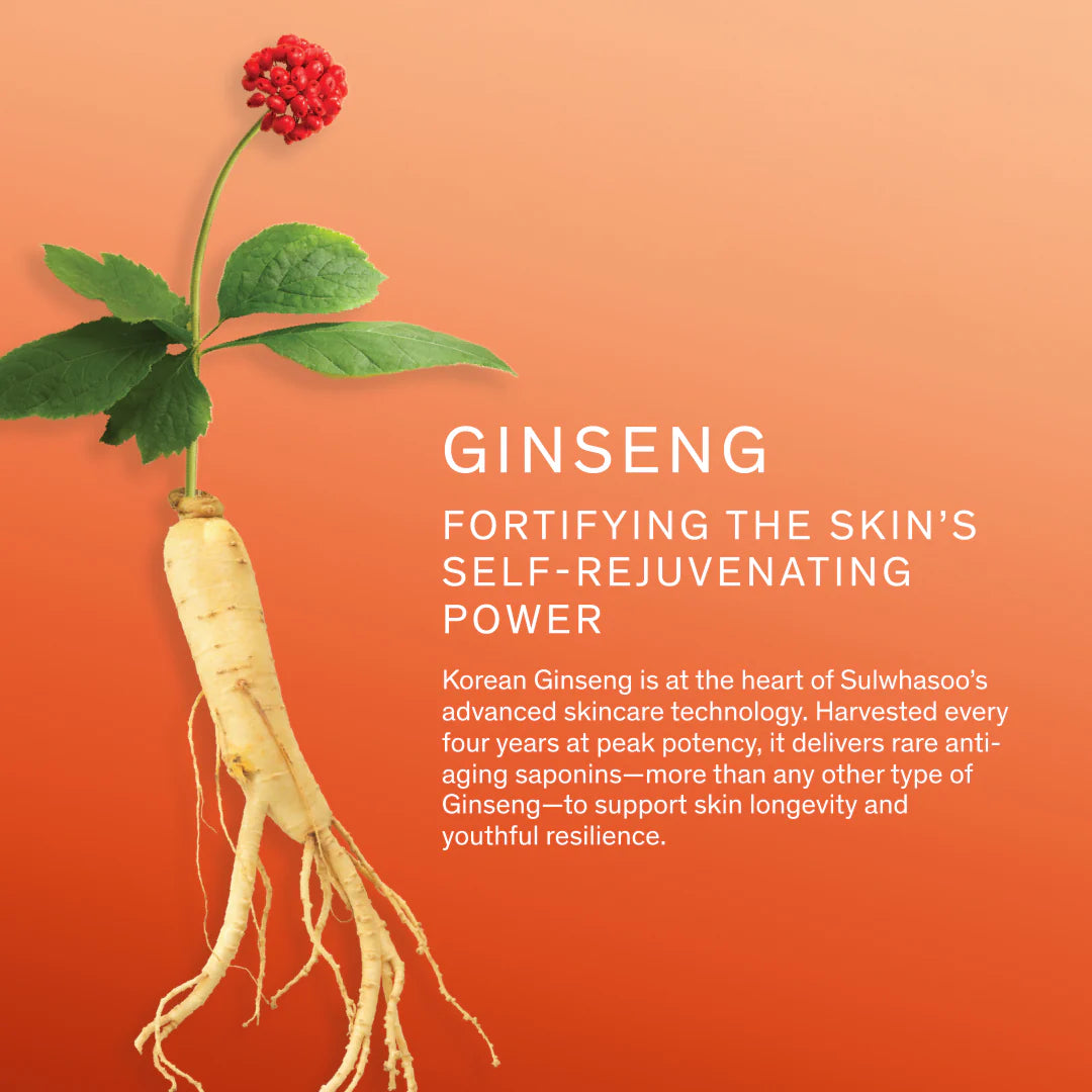 Sulwhasoo Concentrated Ginseng Rejuvenationg Ampoule